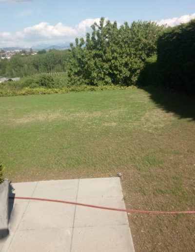 Engazonnement professionnel et création de pelouse à Avenches et environs par Mémoires d'Arbres