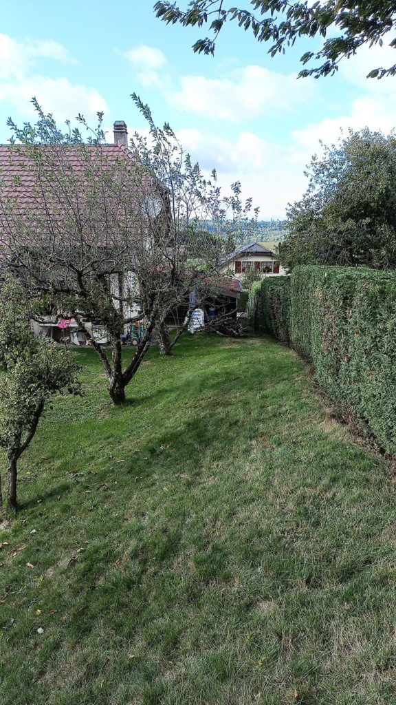 Entretien (5)