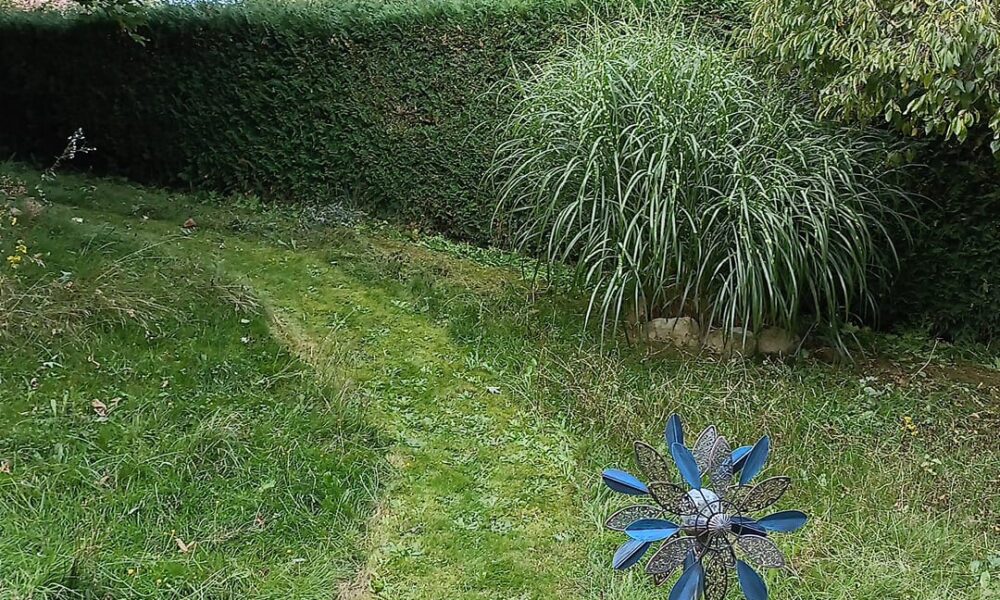 Entretien complet de jardin, tonte de pelouse et taille de haies à Estavayer-le-Lac