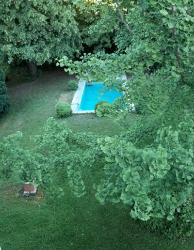 Nettoyage de bassin de jardin et entretien aquatique par un paysagiste à Payerne