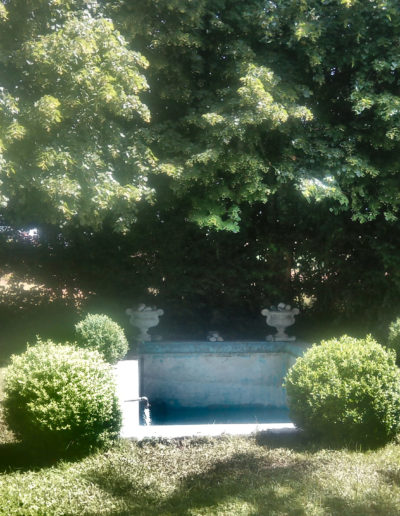 Nettoyage de bassin de jardin et entretien aquatique par un paysagiste à Payerne